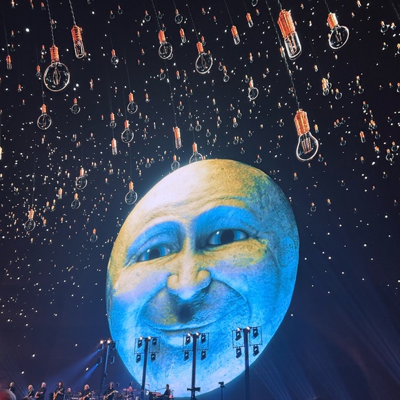 Meet your Posher, Sonia - Picture 7 of 12